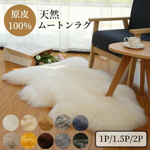 yP20Iz[gO VR I[XgAY100% { rє ӂӂ   1C 1.5C 2C z h_j ~ }bg g O J[ybg t@[ \t@[ xbh  ֎q