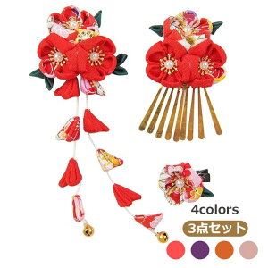 yP20Iz 3_Zbg a  l  U Ǝ ܎O VN  ̎q t[ t ܂ݍ׍H wAANZT[   bh IW