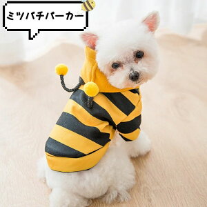 yXS`XXLzybg hbOEFA ^ L ~co` p[J[ CG[  tH h