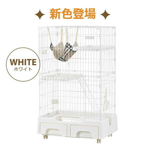 ygCtzL P[W LbgP[W P[W LpXRbvt [o nbNt LX^[t 2i lRQ[W Lp T[N ybgP[W LbgnEX ^ i 