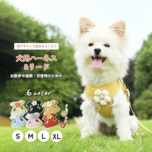  n[lX U ʂ EȂ  S ^ ^ 킢  p  n[lX[hZbg SȂ Ȃ  _ubN bV ɂ ȒP