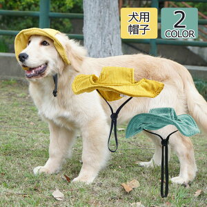 yP20IzhbO Lbv  pi nbg EFA Oh~ Xq ybg 蕨 p 쌢 oXq  ToCU[ 킢 AEghA ybgXq v