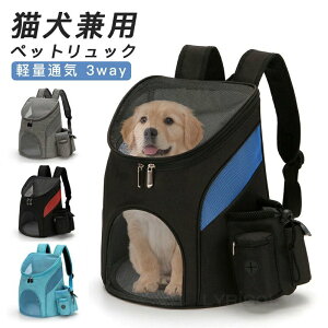 yP20Izybg L[obO y ʋC ybgL[bN obN ybgobO LL[bN  L L[ b