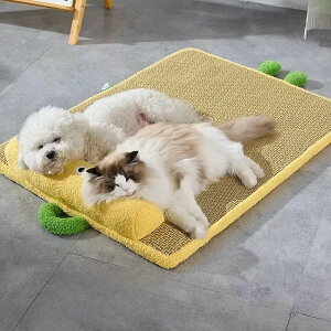 yP20IzI[V[YΉ pWF VR^҂ Lp\t@xbh ^ 􂦂Jo[t ėpЂybgQ