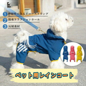 yP20IzybgpCR[g@ybgCR[g ^CR[g  CEFA [h ˃e[vt hbOEFA U 