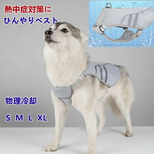 Ђ⊴xXg ̕ ⊴N[ xXg hbOEFA ΍  ЂK Ђ ⊴^Ngbv N[xXg MǑ΍@pxXg ^p U N[