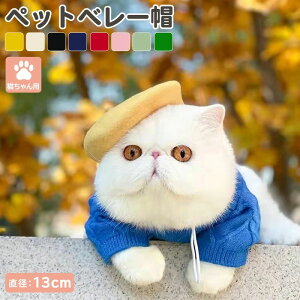 ペット 猫 ねこちゃん 帽子 ぼうし ネコ帽子 コスプレ コスチューム ペット用品 ペットグッズ 被り物 ベレー帽 チョボ フェルト調生地