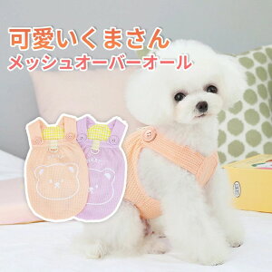 yP20IzhbOEFA  pEFA ybgEFA ^Ngbv tp ėp t ĕ ^p ^p 