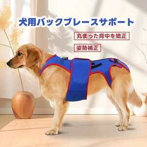 yP20IzpobNu[XT|[g pobNu[XҒŃT|[g ybgT|[g nrn[lX pobNu[X pDO 