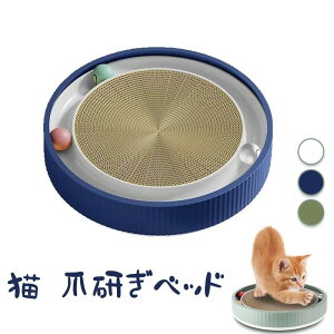 yP20IzL ܂Ƃ ^ ~` 45cm {[   h \ Lxbh ϖ ̌^ XgX ^s Lp ܌ ւc yb