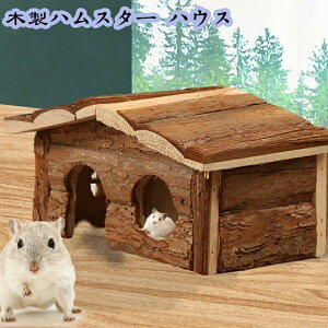 yP20IznX^[nEX tVRؐnEX pQ nEX nX^[ X lY~ K ^؃bhp ߋ B 