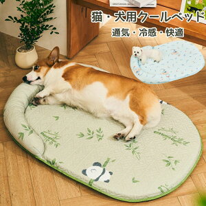  xbh ėp ^ ^ ^ ybgxbh 􂦂 ⊴ t}bg ybgNbV ڐG⊴f   L  IV Lpi ~ ybgNbV ӂӂ Q 