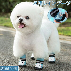 yP20IzpCu[c 4Zbg pCV[Y hbOV[Y ^ ^ ybgV[Y C }WbNe[v ʃt@Xi[ S