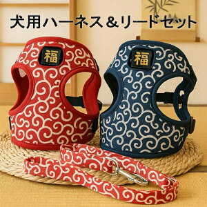 yP20Izn[lX[hZbg@Ȃ@ɂ@^ ^ ^@n[lX@́[˂ EȂ@􂦂@SȂ Aɓ