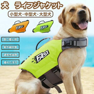 yP20IzybgCtWPbg jpCtWPbg x V ͂D ^ A^ S 