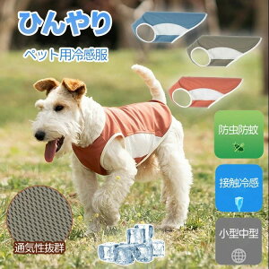   ^Ngbv ڐG⊴ Ђ ^ ^  Ȃ  t  EFA ̕ h 