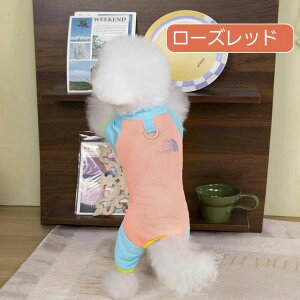   ⊴  Ȃ Jo[I[ ڐG⊴ Ђ ^  N[EFA p[X DJt  t  ̕ 