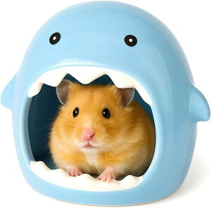 S[f nX^[ LN}  CR X ybg  nEX xbh   Q B  NbV  u[ 