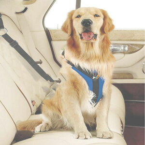 yX[p[SALE蔼zItzy2{ZbgzybgpV[gxg p V[g 㕔Ȉ яoh~  [h U ȒPt p Ck ^ ^ ybg  s hCu Z