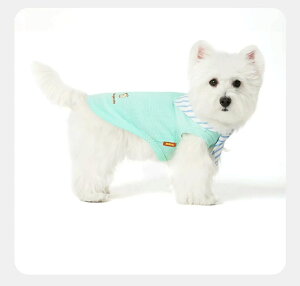 �y�b�g�E�F�A ������� ���킢�� �t�@�b�V���� �� �L �m�� �ߑ� HOOPET �x�X�g �� ���� ���^ �E�G�X�g �n�C�����h �r�V���� �l�N�^�C �X