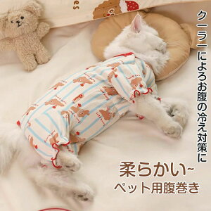 yP20Iz  t  ^Ngbv 앞 Lk͔Q 킢  ی  K ybg ybgp  [΍ _炩 y e