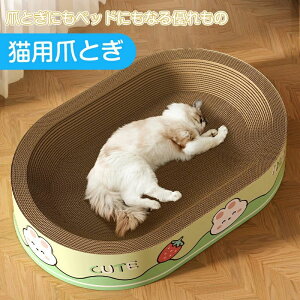 L ܂Ƃ ܌ L܌ _{[ XNb`[ KK ߂Ƃ L Lxbh XgX@i{[ ܖ 