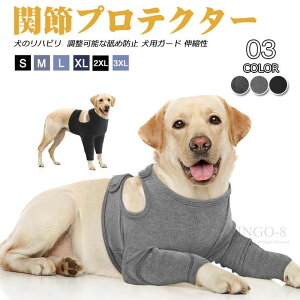 p㕞  \tgʋC \  pEFA r Lk  T|[^[ rߖh~ 畆a IpveN^ IX  Xp ^