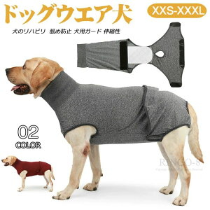 p㕞 hbOEFA   Ci[ ^CgX[c p㕞  畆ی pEFA rߖh~ p㕞 Dp /^p IX