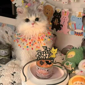 【楽天スーパーSALE限定半額OFF】【2点セット】 犬 誕生日 スタイ 帽子 飾り付け お祝い グッズ 猫 誕生日セット 飾り ペット用 バースデー バルーン パーティーセット