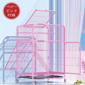 L P[W LbgP[W 3i L݌v Rgݍ킹 g[t LhAt nbNt ^ LQ[W   LbgnEX lR nEX i  ی Eh~ 