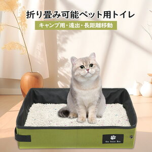 yP20IzybggC gCg[ bV  g[jO ͂ Ch M[ юU h~ gCg[jO ACXI[} p ybg { gC 