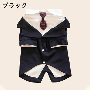 yyV1ʓ܁zhbO   ^LV[h ybgX[c ^ ^ ^ ybg X[c    lN^Ct tH[} n[lX ߂ o LO p[eB[ a