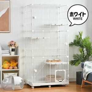 yLphAt zL P[W LbgP[W 3i  1i2i\ LX^[t ^ LP[W ybgP[W P[W ybgp LbgnEX ybgT[N lR nEX ړ֗ 