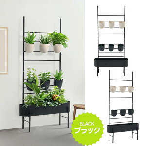 yyVX[p[SALE10%OFFzyZAؔtzv^[ttFX tFX ډB ډB Ԏd؂ 22cm 80cm 160cm  K[fjO GNXeA  O p[e[V 