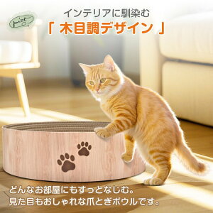 ܂Ƃ Lp܂Ƃ{E L̒ܕ L܌ _{[ ی^ 42.5cm 蔫` JXoɂ LQ Lxbh L