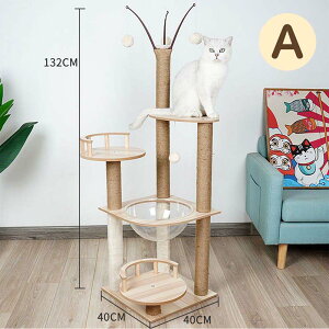 Lbg^[ u@ؐ LnEX gݗĎ ^s ܖ lR̂ Lbgh BƁ@lRpi XgX  Ki