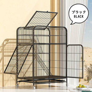 L P[W LbgP[W 3i L݌v Rgݍ킹 g[t LhAt nbNt ^ LQ[W   LbgnEX lR nEX i  ی Eh~ 