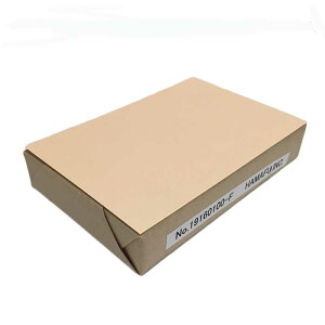 NO.19160F100 \ʉHʖnnKL {XÐ 160kg yz (100mm X 148mm) y100z