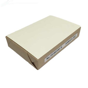 NO.19160K100 \ʉHʖnnKL {X 160kgyz(100mm X 148mm) y100z