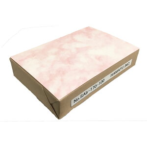 NO.SA170100B _̖͗l ʖnnKL (VAgXEڂ) (100mm x 148mm) 170kg y100z NEʐ^EēEi䎆 tC[ CNWFbgv^ň