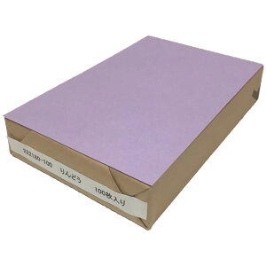NO.222180100 ǂFʖnnKL AJTCY  F㎿E (90mm x 140mm)y100z