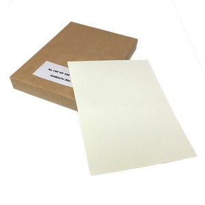 NO.19K20-100 ynKLdlz \ʉHʖnnKL {X 130kg (200mm X 148mm) y100z