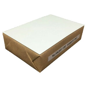 No.HK265-100 Pg  ʖnnKL (100mm x 148mm)y100z