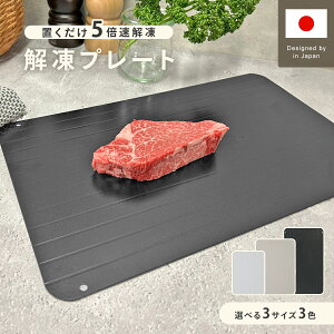 【12日23:59まで10%OFF】【楽天1位!! 夫が寝た後で で紹介】解凍プレート 急速解凍 自然解凍 家庭用 解凍