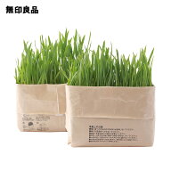 土を使っていない 猫草栽培セット・2個入り【無印良品 公式】