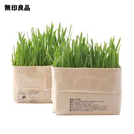 【無印良品 公式】土を使っていない 猫草栽培セット・2個入り
