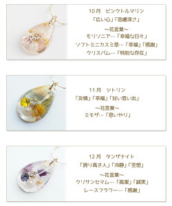 lbNX y_g hCt[  t[  W a Ԍt Όt  a p[\i Birthday o[Xf[ hbv  muk v[g Mtg NX}Xv[