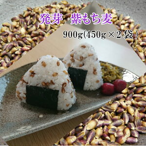 900g(450g×2) @ @Y t R[VF؁@ _CV` `M X[p[t[h [OJ