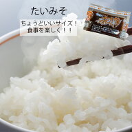 たいみそ6g×50入　お惣菜シリーズ　ミニサイズ　小分け　使い分け　個包装　大容量　個袋　定番　時短　…