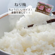 ねり梅6g×100入　お惣菜シリーズ　ミニサイズ　小分け　使い分け　個包装　大容量　個袋　定番　時短　…